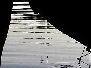 Public pissing in a lake - dwnscgn - 06-30-18