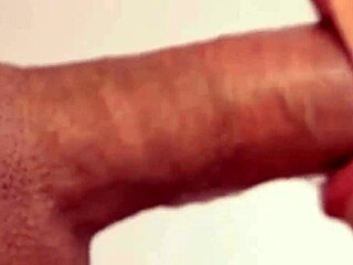 Amateur couple enjoys cum in mouth and pussy
