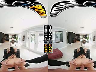 Doggy style reality: A compilation of virtual reality porn featuring doggy style positions