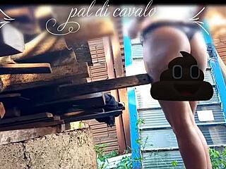 I gave my friend a birthday present he'll never forget - a hardcore anal fucking in the backyard
