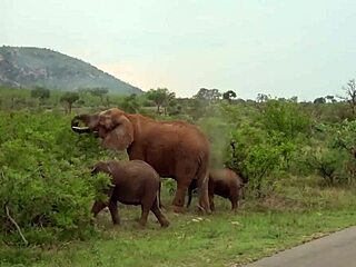 Black girlfriend enjoys hardcore anal sex on vacation