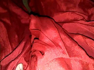 indian bisexual shemale's hot silk masturbation