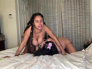 Gak world introduced me to kaay squeeze and this what happened.3some,Anime,California,Clothes ripped,Florida,Group,Hentai,Interracial,Orgy,Striptease