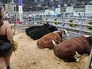 Honey Tsunami got a hot and wet pussy hammered at Texas rodeo