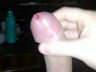 Jerk off to the best TS porn with trannies